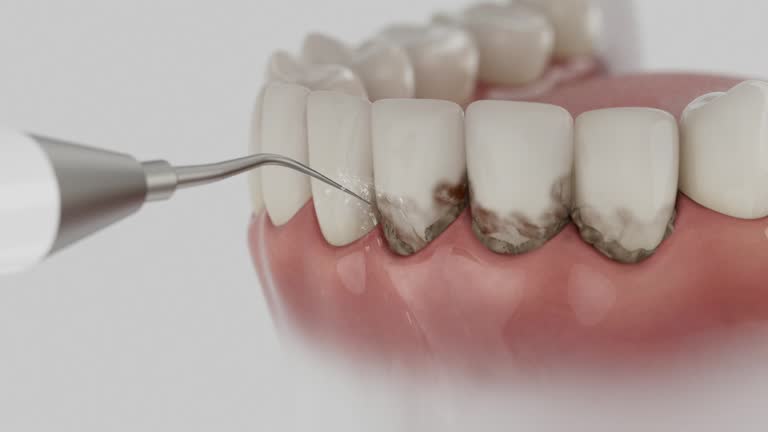 Reliable Dental contractor in Mount Pleasant, TN by Dentist Open Now